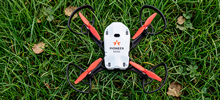 Лесное хозяйство